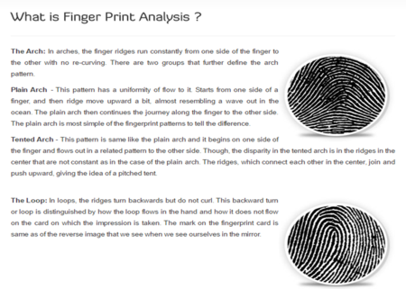 Fingerprint Brain Analysis