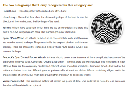 Fingerprint Brain Analysis