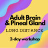 ADULT BRAIN ACTIVATION/PINEAL GLAND DETOX (16-100 yrs): Long Distance